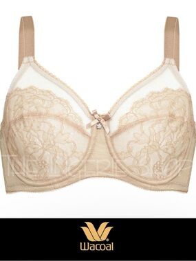 Wacoal Lace Underwire Retro Chic Bra in Nude 34DD